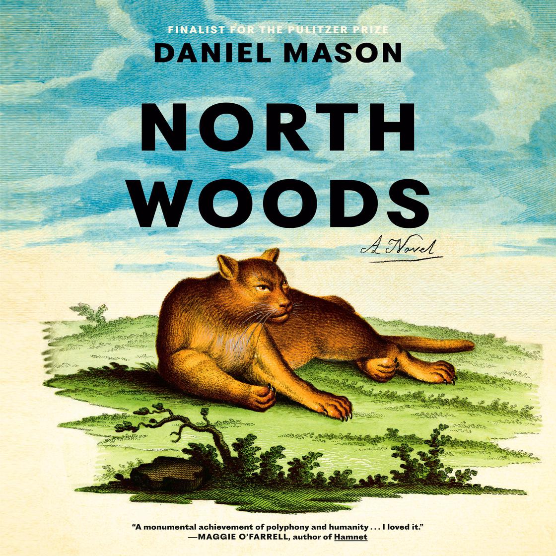 View audiobook of North Woods by Daniel Mason
