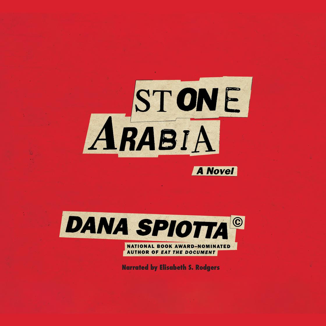View audiobook of Stone Arabia by Dana Spiotta
